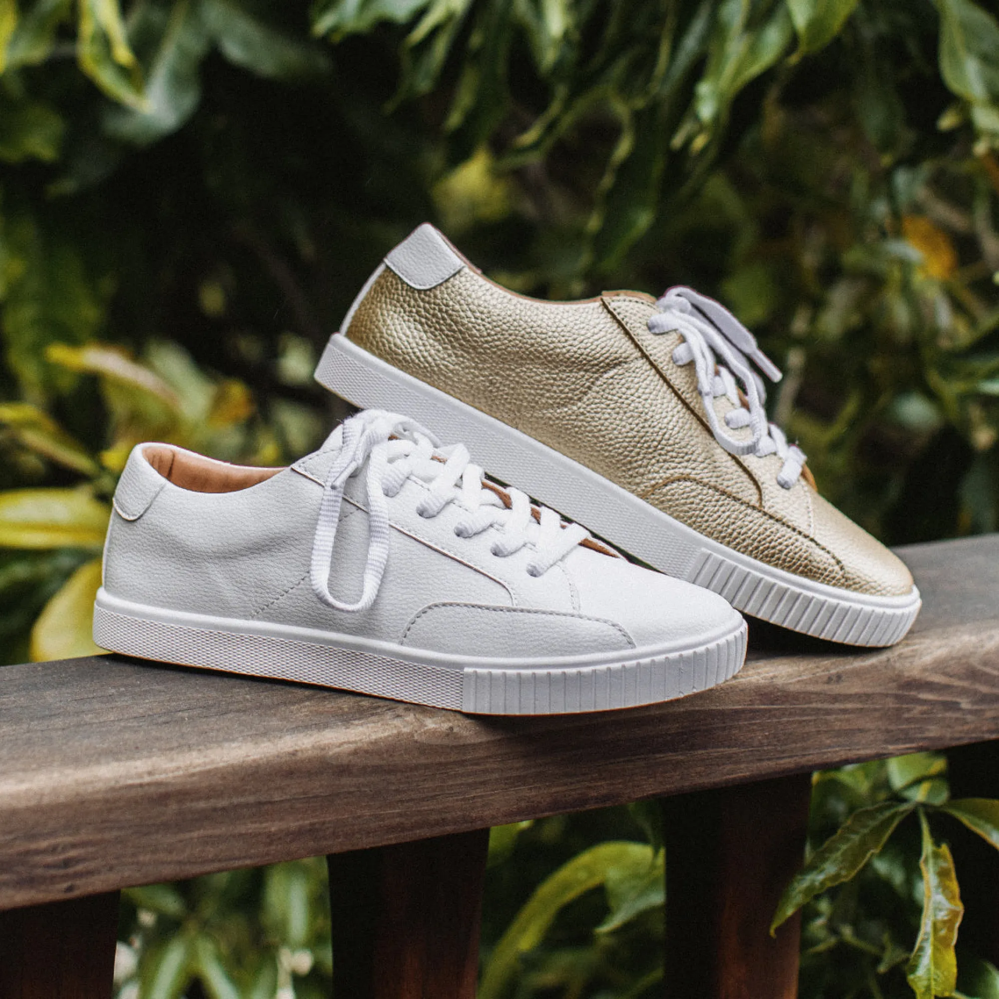 Women Yellow Box Sneakers & Flats>Daylon Low-Top Sneaker