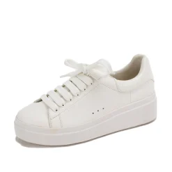 Women Yellow Box Sneakers & Flats>Evodia Lace Up Sneaker