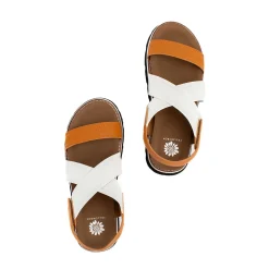 Women Yellow Box Sandals><noscript><img width=